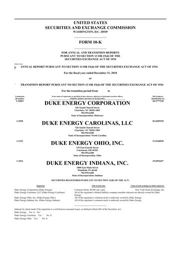 Miniature Duke Energy 10-K Rapport annuel 2010