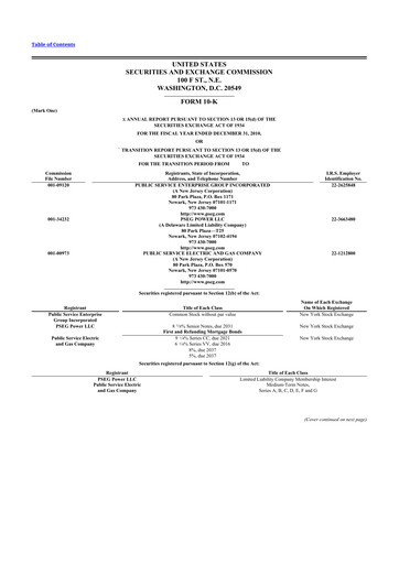 Thumbnail PSEG 10-K Annual Report 2010