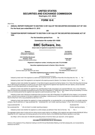 Miniature BMC Software 10-K Rapport annuel 