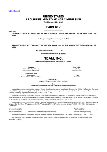 Thumbnail Team Inc 10-Q Quarterly Report FY2013 