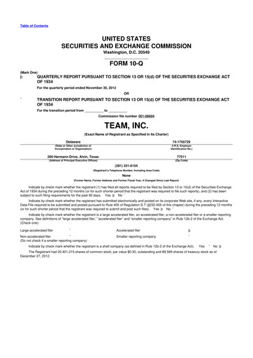 Thumbnail Team Inc 10-Q Quarterly Report FY2013 