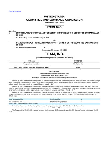 Thumbnail Team Inc 10-Q Quarterly Report FY2013 