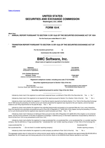 Miniature BMC Software 10-K Rapport annuel 