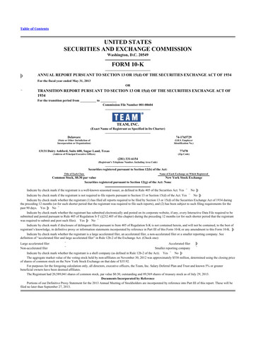 Thumbnail Team Inc 10-K Annual Report 2013