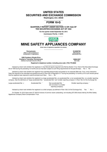 Miniature MSA Safety 10-Q Rapport trimestriel 2013 