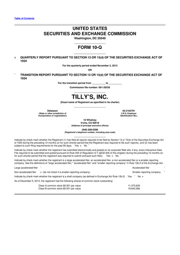 Thumbnail Tillys
 10-Q Quarterly Report FY2013 