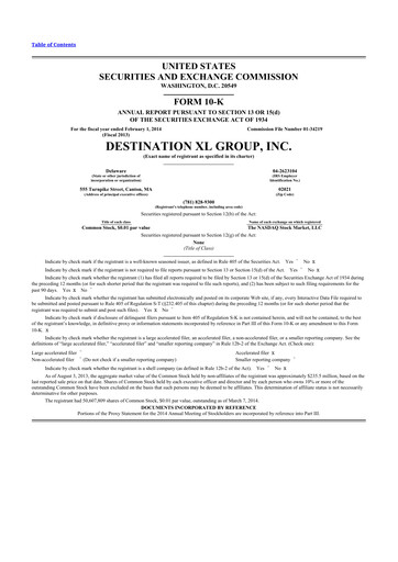 Thumbnail Destination XL 10-K Annual Report 2013