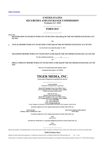 Vorschaubild Fluent 20-F Jahresbericht 2013