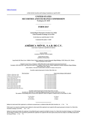 Thumbnail America Movil 20-F Annual Report 