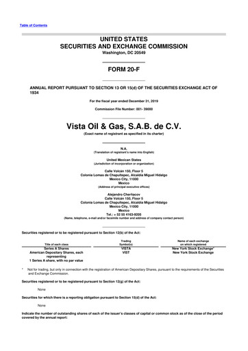 Thumbnail Vista Energy 20-F Annual Report 2019