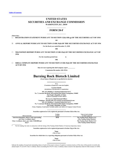 Thumbnail Burning Rock Biotech 20-F Annual Report 2020