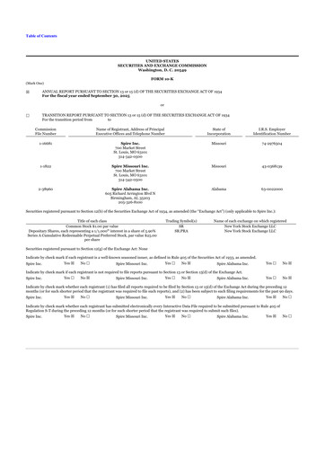 Miniature Spire Inc. 10-K Rapport annuel 