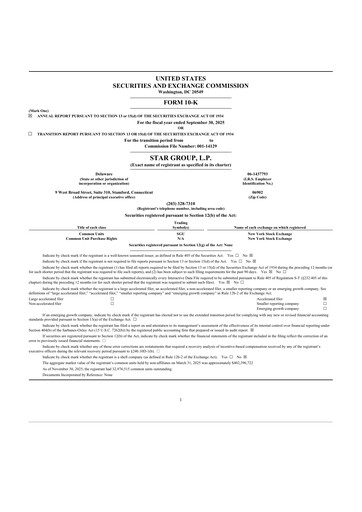 Miniature Star Group 10-K Rapport annuel 2025