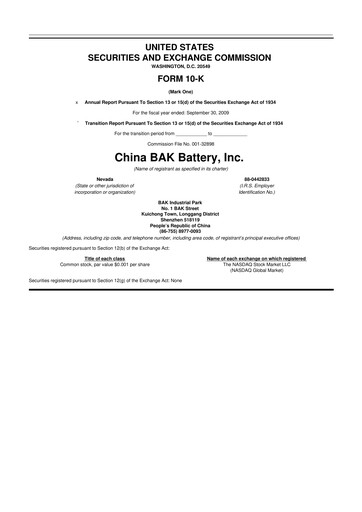 Thumbnail CBAK Energy Technology 10-K Annual Report 