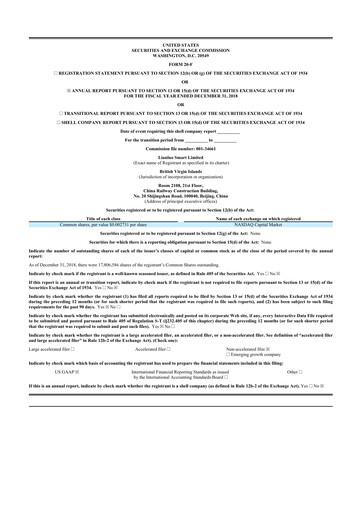 Thumbnail Newegg 20-F Annual Report 2018