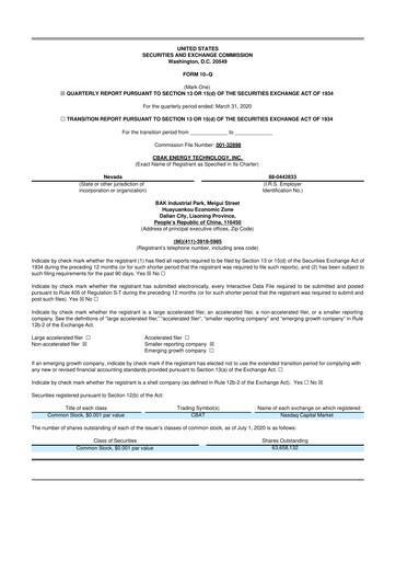 Thumbnail CBAK Energy Technology 10-Q Quarterly Report FY2020 