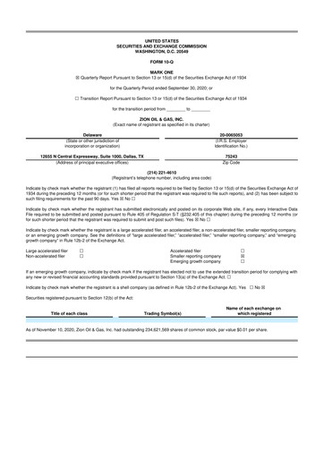 Thumbnail Zion Oil & Gas 10-Q Quarterly Report FY2020 