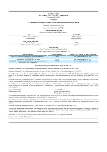 Miniature Microvast 10-K Rapport annuel 2020