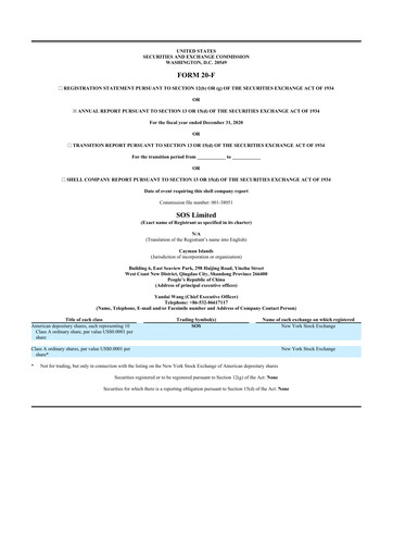 Thumbnail SOS Limited 20-F Annual Report 2020