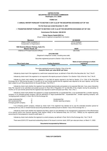 Miniature Palmer Square Capital BDC 10-K Rapport annuel 