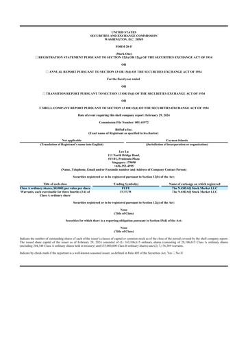 Miniature BitFuFu 20-F Rapport annuel 