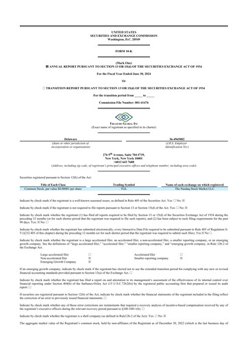 Thumbnail Treasure Global 10-K Annual Report 2024