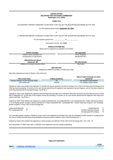 Thumbnail Versus Systems 10-Q Quarterly Report FY2024 