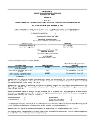 Thumbnail Merlin, Inc. 10-Q Quarterly Report FY2024 