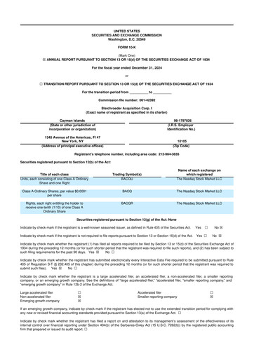 Thumbnail Merlin, Inc. 10-K Annual Report 2024
