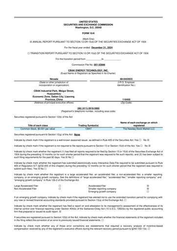 Thumbnail CBAK Energy Technology 10-K Annual Report 2024