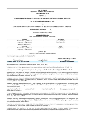 Thumbnail Versus Systems 10-K Annual Report 