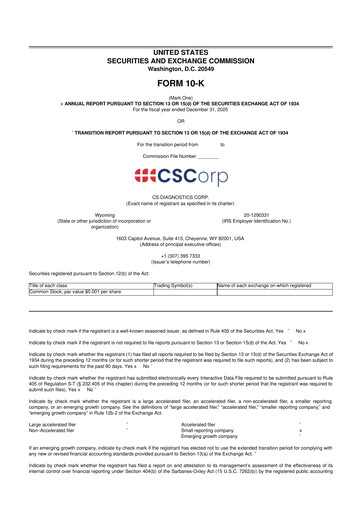Thumbnail CS Diagnostics 10-K Annual Report 