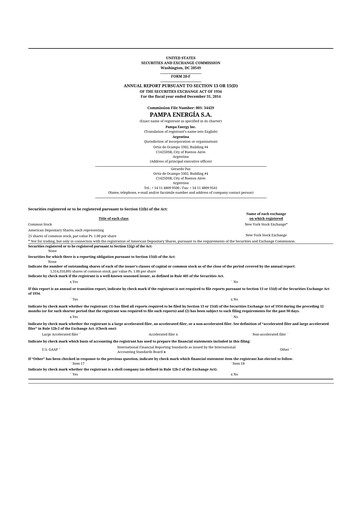 Miniature Pampa Energía
 20-F Rapport annuel 