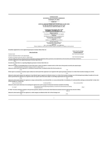 Miniature Pampa Energía
 20-F Rapport annuel 