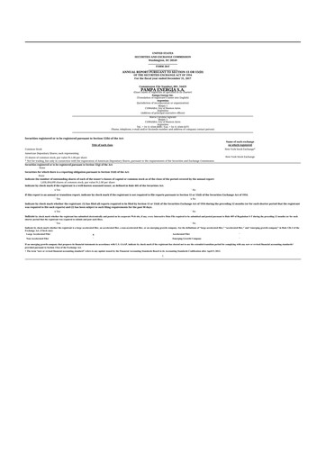 Miniature Pampa Energía
 20-F Rapport annuel 