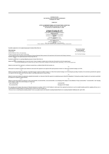 Miniature Pampa Energía
 20-F Rapport annuel 2018