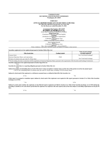 Miniature Pampa Energía
 20-F Rapport annuel 2021