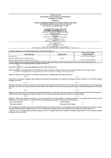 Miniature Pampa Energía
 20-F Rapport annuel 2024
