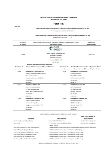 Miniature Duke Energy 10-K Rapport annuel 2013