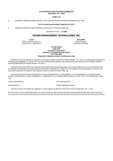 Thumbnail Sanara MedTech 10-Q Quarterly Report FY2013 