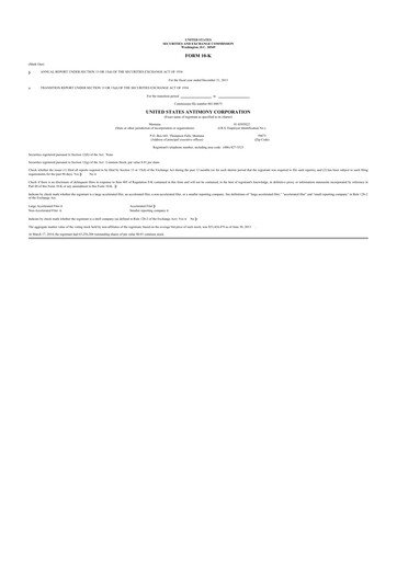 Vorschaubild United States Antimony Corporation 10-K Jahresbericht 2013