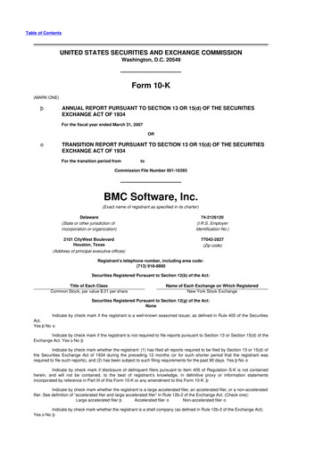 Miniature BMC Software 10-K Rapport annuel 