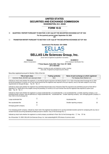 Thumbnail SELLAS Life Sciences 10-Q Quarterly Report FY2020 