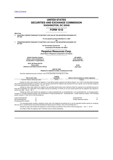 Miniature Perpetua Resources 10-Q Rapport trimestriel 2025 