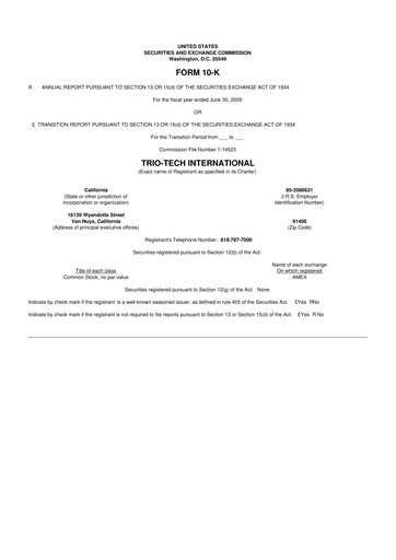 Thumbnail Trio-Tech International 10-K Annual Report 2009