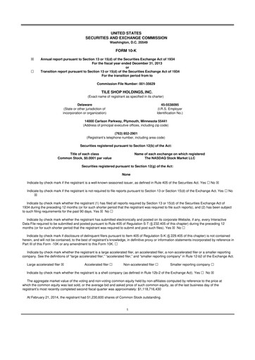 Thumbnail Tile Shop Holdings 10-K Annual Report 2013