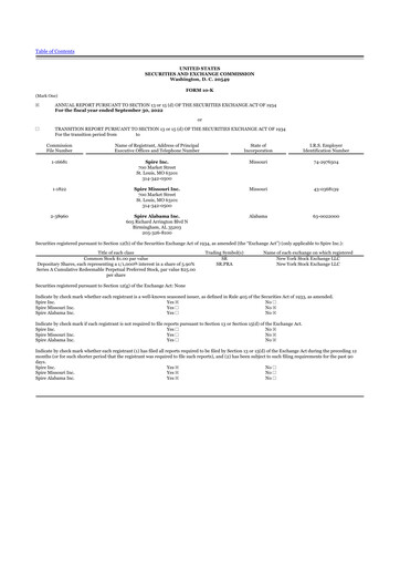 Miniature Spire Inc. 10-K Rapport annuel 