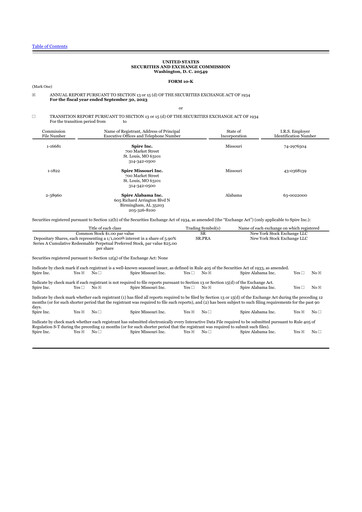 Miniature Spire Inc. 10-K Rapport annuel 