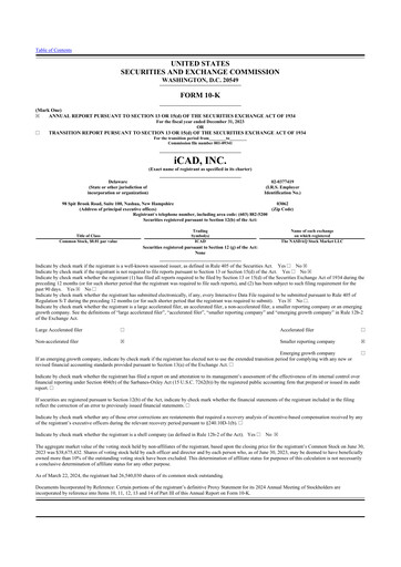Vorschaubild iCAD 10-K Jahresbericht 2023
