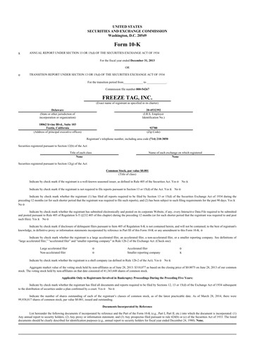 Thumbnail Freeze Tag 10-K Annual Report 2013